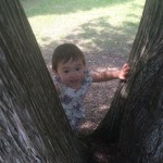 IMG_0562