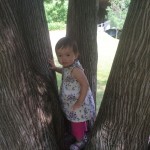 IMG_0565
