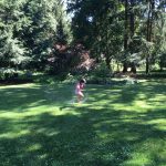 IMG_1585